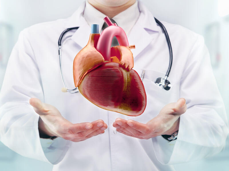 Cardiology Services